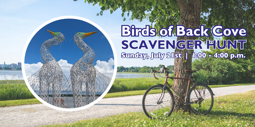 Birds of Back Cove web page header - updated time